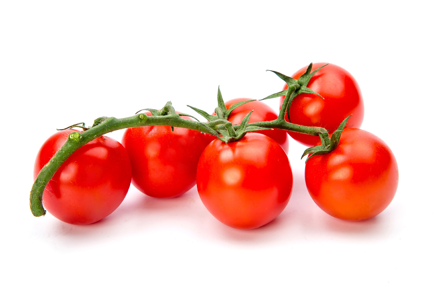 Tomate mini star /KG